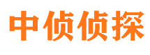 梅里斯市调查公司